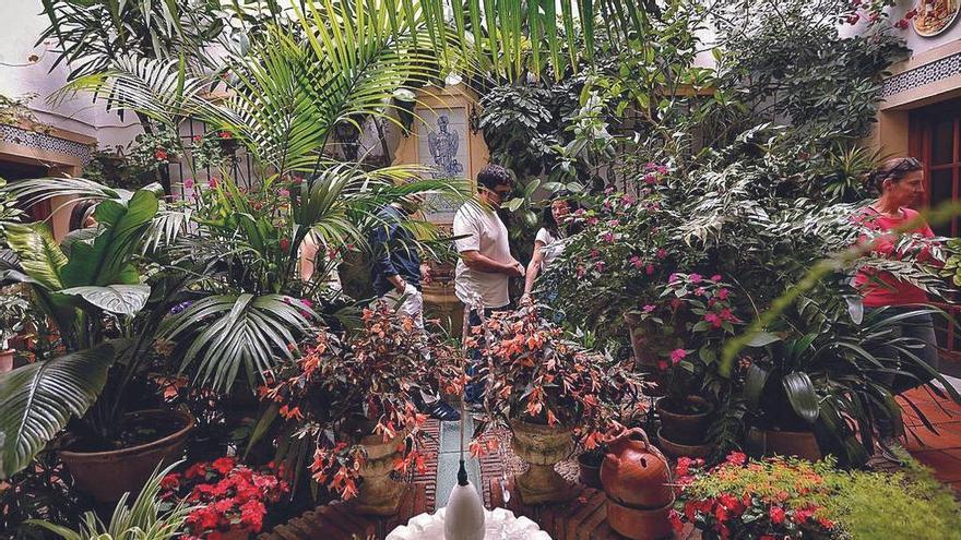 Estos son los 17 recintos de la ruta 4 de los Patios de Córdoba 2026 en la Judería y San Francisco