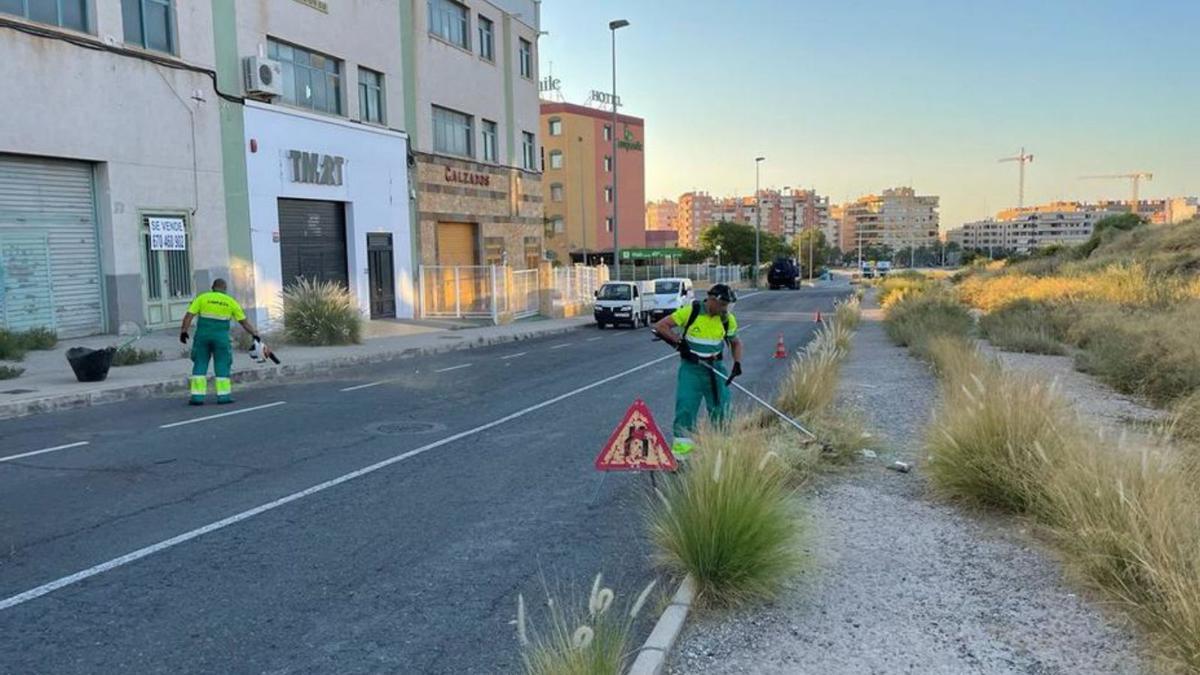 Trabajos de desbroce realizados durante julio. | INFORMACIÓN