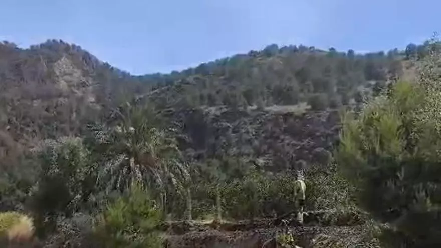 Los bomberos echan agua sobre la zona en la que se originó el incendio en Los Garres