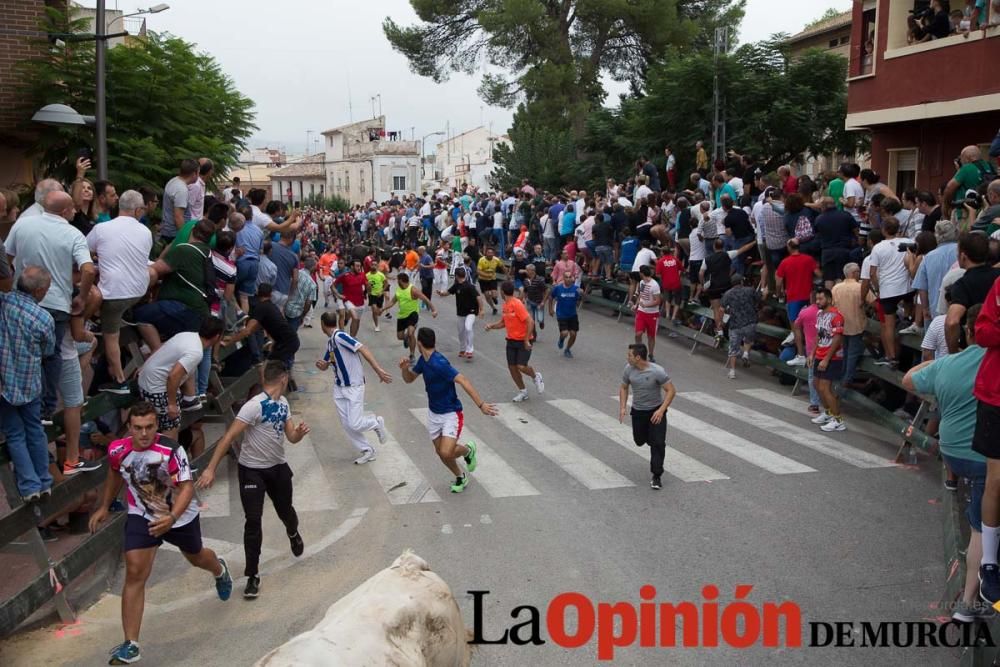 Primer encierro en Calasparra