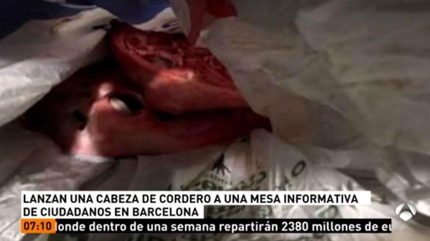 Dejan una cabeza de cordero en una mesa informativa de Ciutadans en Barcelona