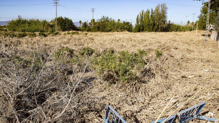 La Copal augura un abandono masivo de tierras por los nuevos daños en el campo