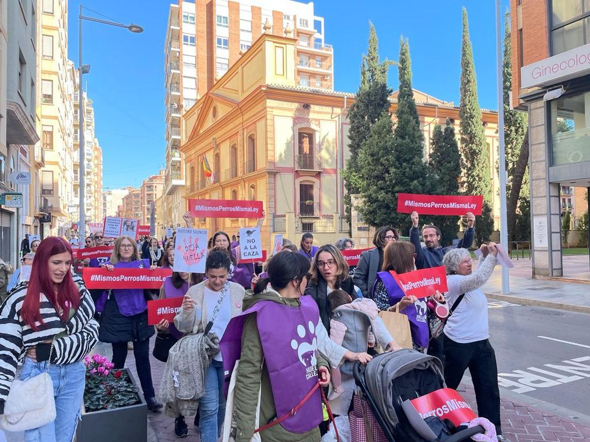 1.000 personas piden el fin de la caza en Castelló