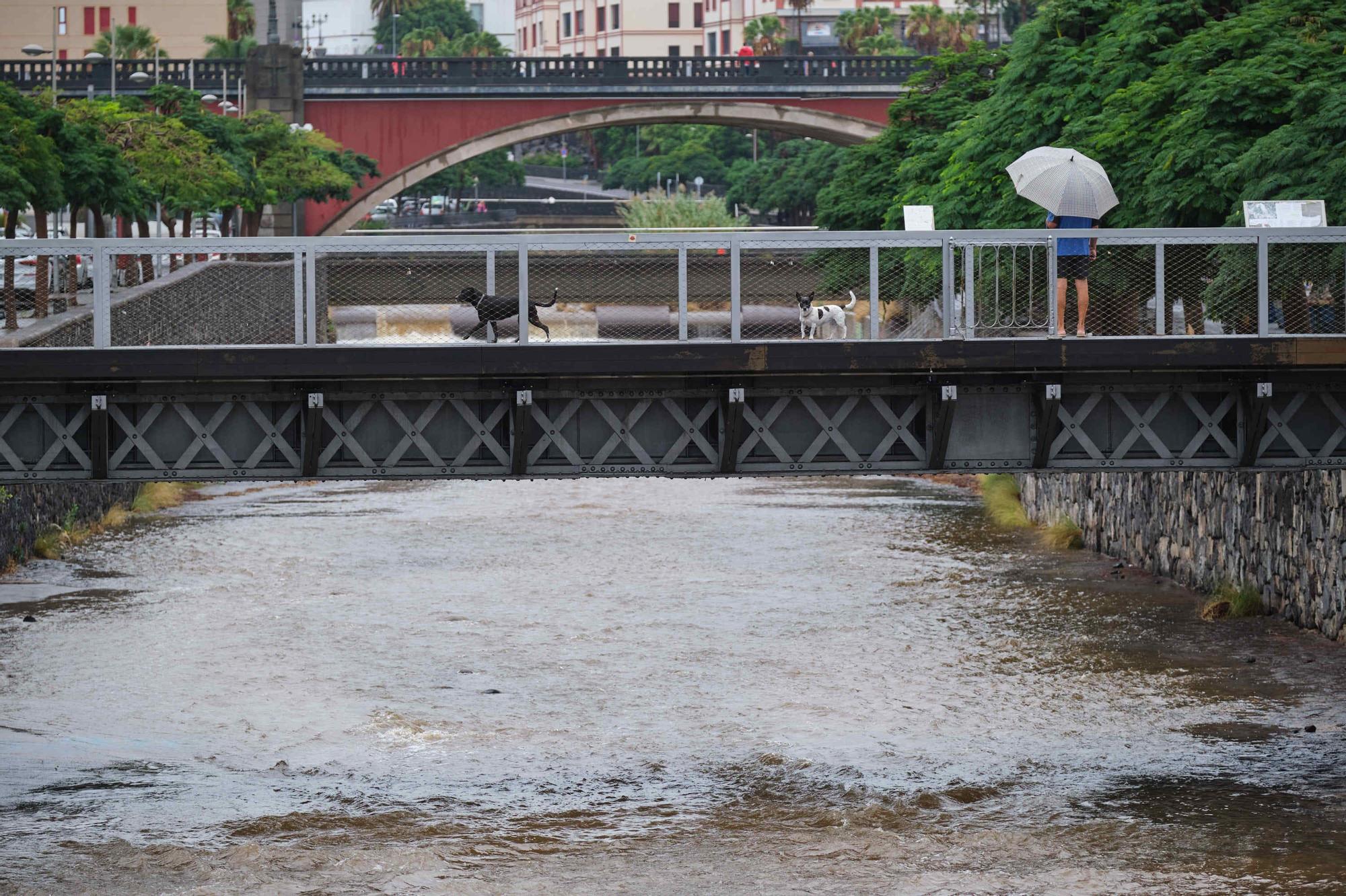 Efectos de la tormenta 'Hermine' en Tenerife