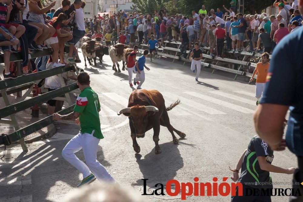 Tercer encierro en Calasparra