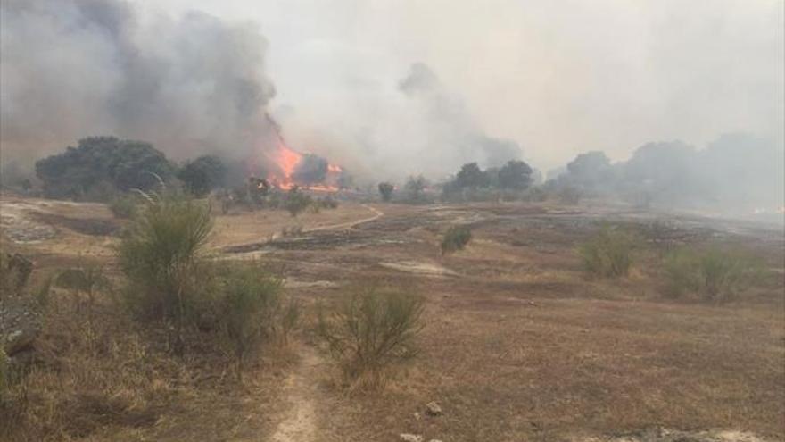 El Infoex desactiva el nivel 1 en dos fuegos en Calzadilla y Aldea del Cano