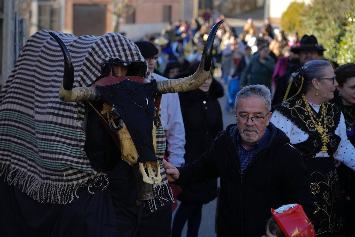 Pereruela rescata del olvido a su Vaca Antrueja por segunda vez Pereruela rescata del olvido a su Vaca Antrueja por segunda vez