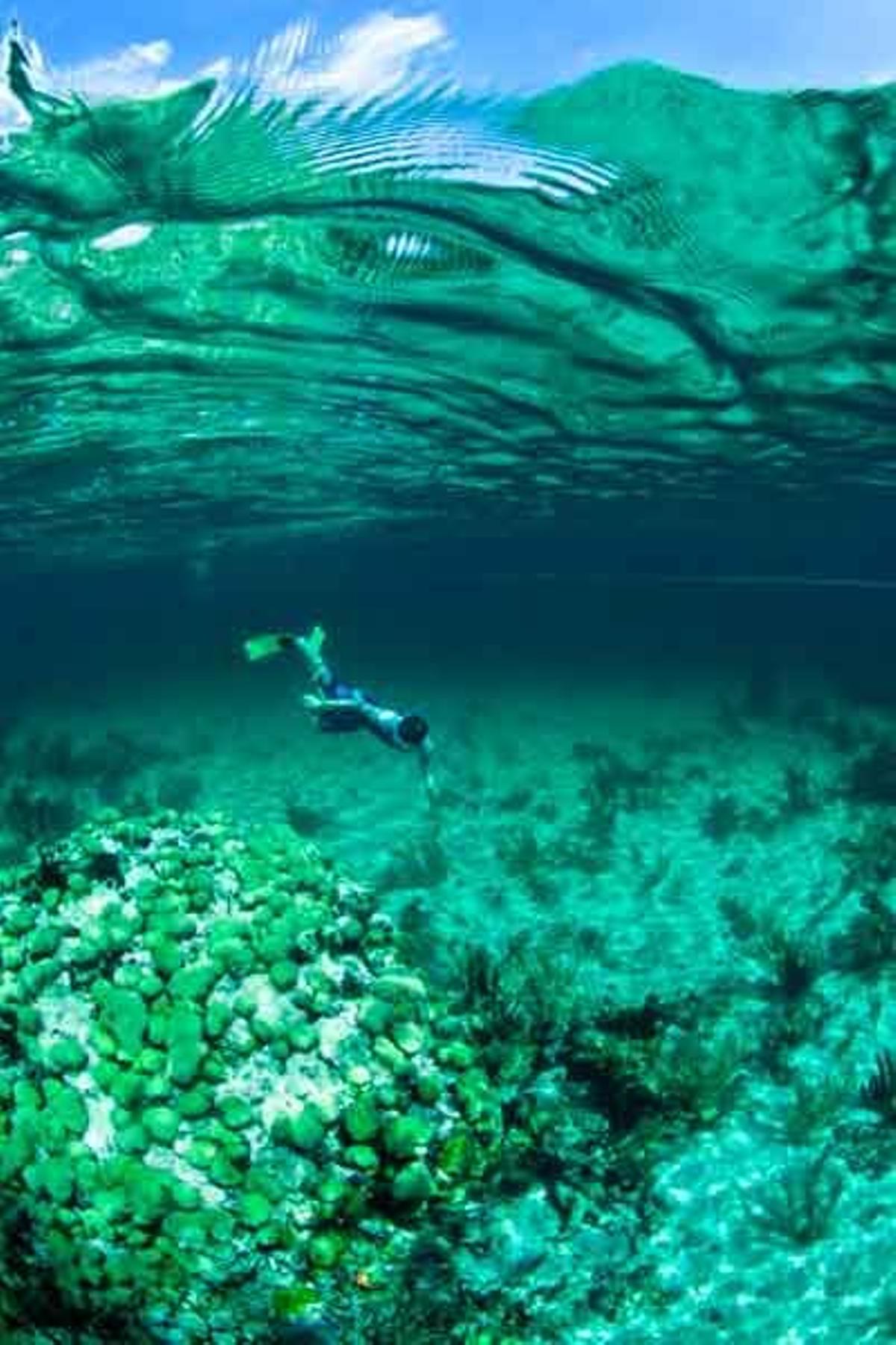 Fondo marino de Exuma, un distrito de las Bahamas, con más de 360 islas o cayos.