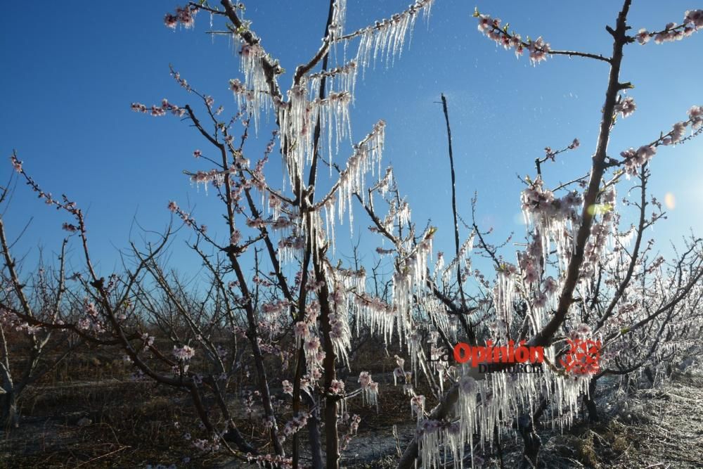 Helada en Cieza 9 de febrero de 2018