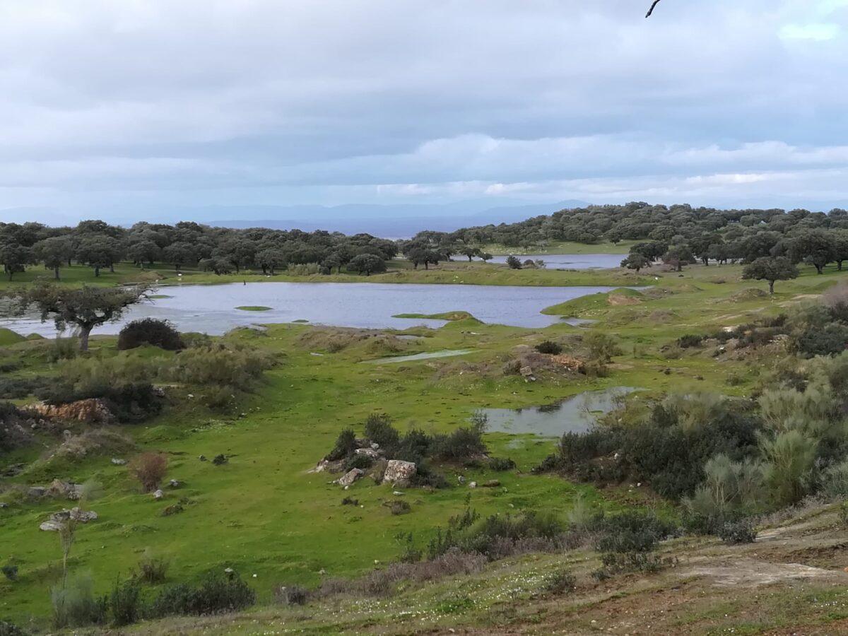 Extremadura: continúa la ‘guerra del litio’ por la mina para baterías