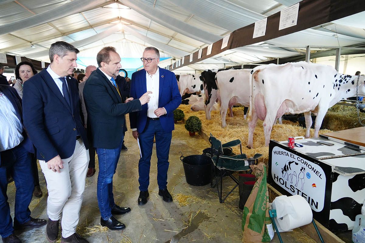 Abre la feria de vacuno de leche Usías Holsteins de  Dos Torres