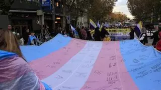 Más de 330 personas cambian de sexo en el primer año de la Ley Trans en la Región