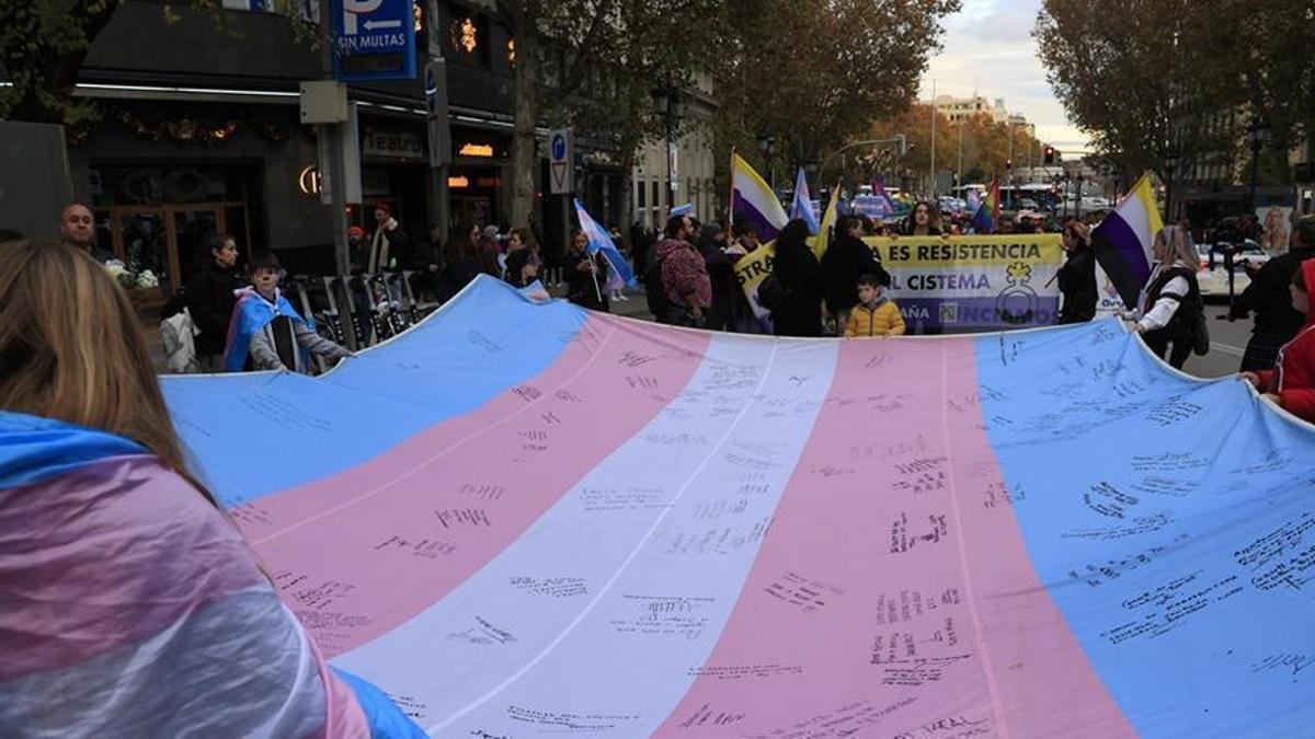 Manifestación en Madrid a favor de la Ley Trans.