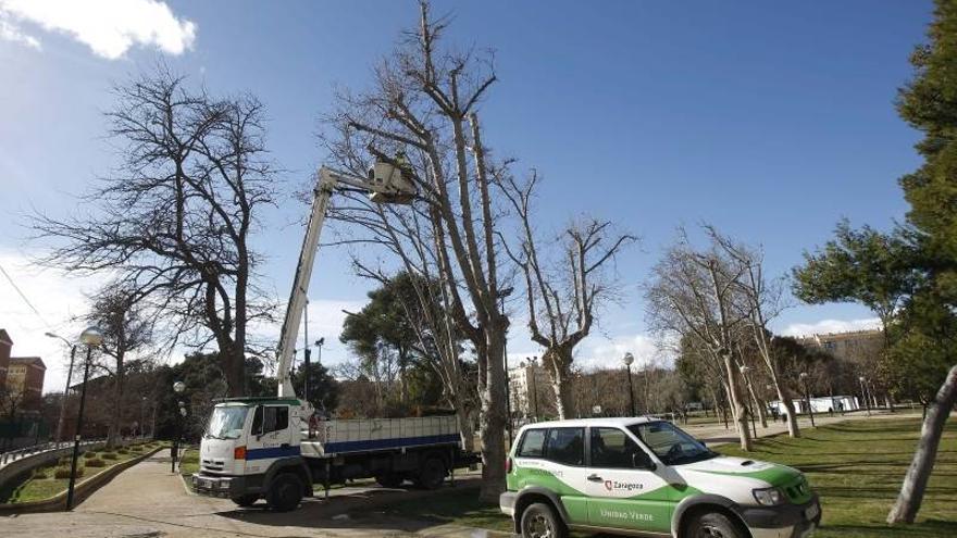 Comienzan los preparativos en el Tío Jorge para la Cincomarzada