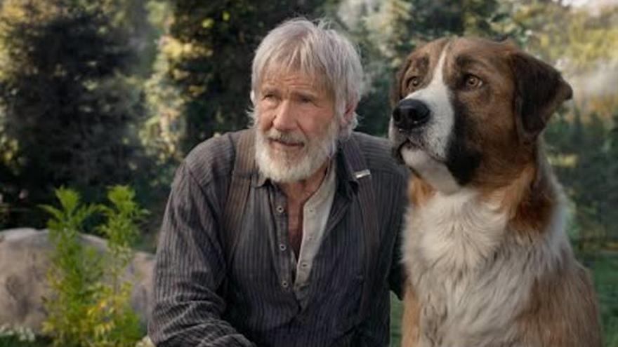 La llamada de lo salvaje