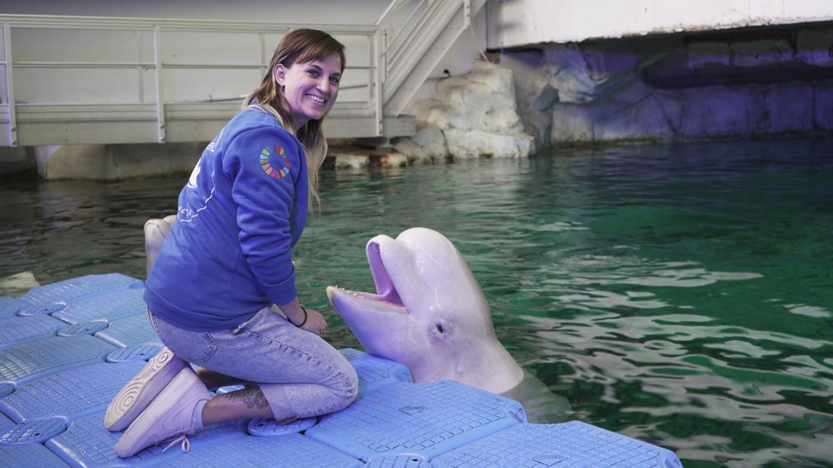 La doctora Audra Ames, investigadora del Oceanogràfic, junto a Yulka, beluga del Oceanogràfic de València