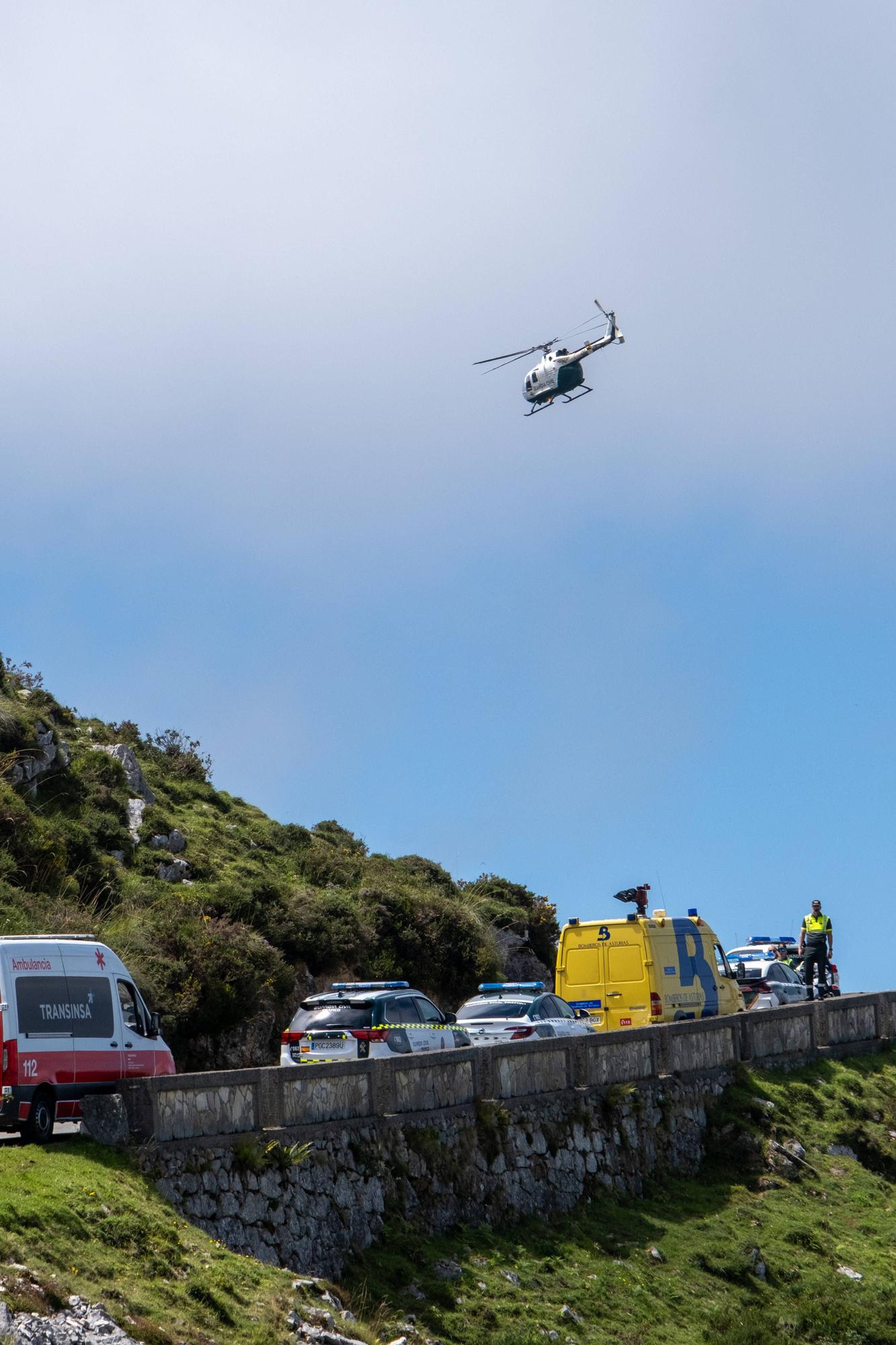 Grave accidente en Covadonga al despeñarse un autobús con niños que iba a los Lagos