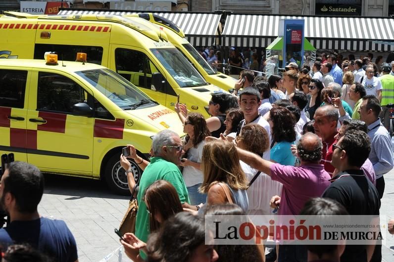 Cae parte del ficus de Santo Domingo en Murcia