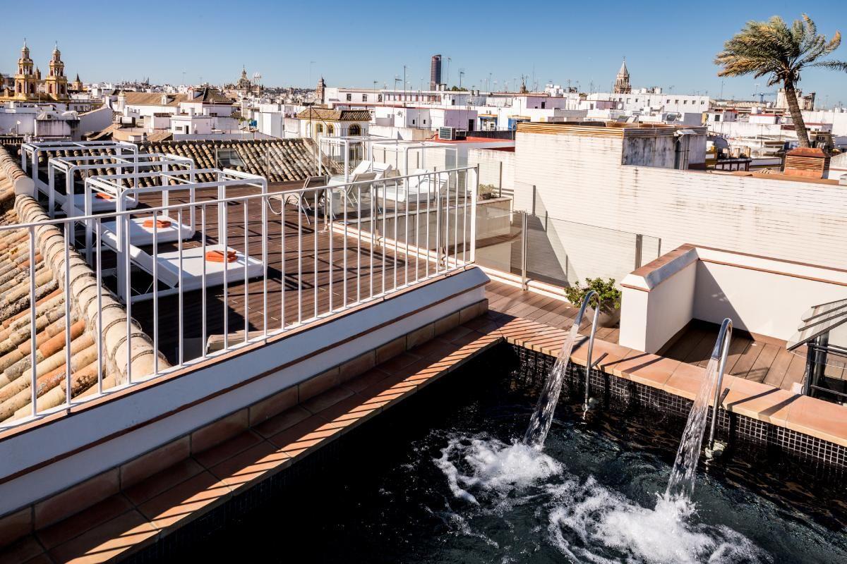 Plunge Pool Rooftop - CoolRooms Palacio de Villapanés