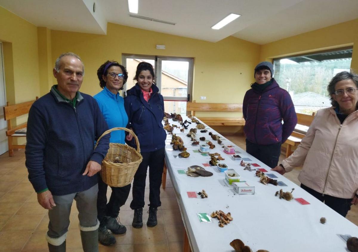 Setas recogidas en el campo. | Ch. S.
