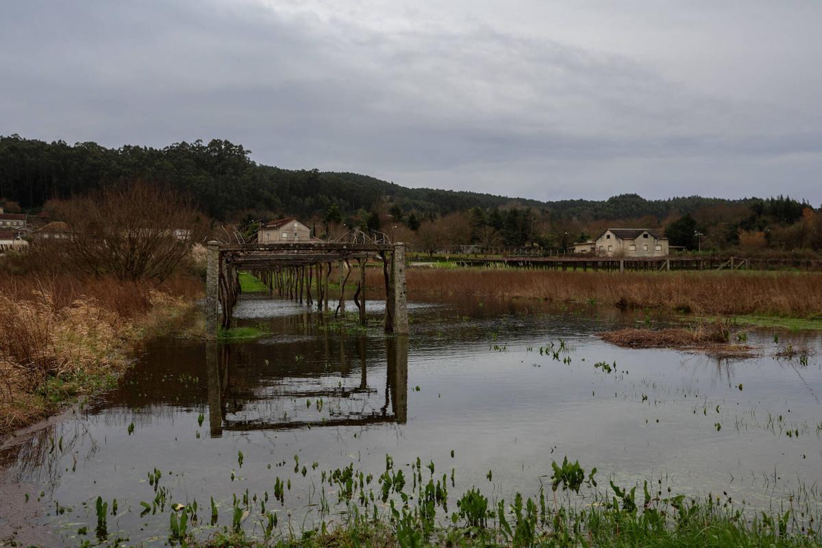 Fincas anegadas junto al Umia en Meis