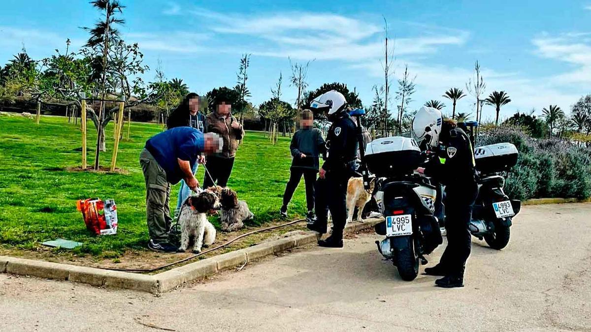 botella musical Persona a cargo La Policía Local denuncia 30 personas en Palma por llevar perros sueltos