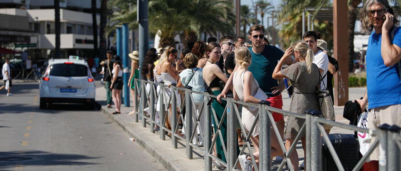 Decenas de personas esperan un taxi en la parada del puerto de Eivissa a mediados del pasado mes de julio. | TONI ESCOBAR