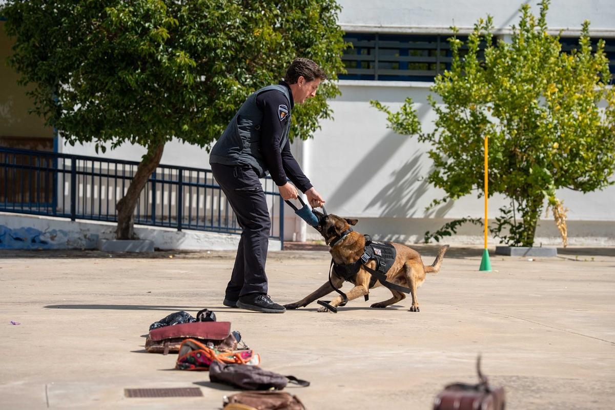 El perro policía Lucas demuestra su capacidad para detectar droga ante decenas de alumnos en el patio del IES Santa Eulalia de Mérida.