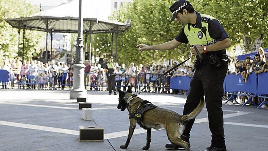 Los cuerpos policiales de Badajoz exponen sus recursos y muestran cómo los utilizan