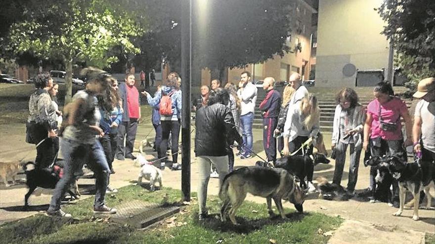 Los vecinos piden una nueva zona canina en Mejostilla para perros sueltos