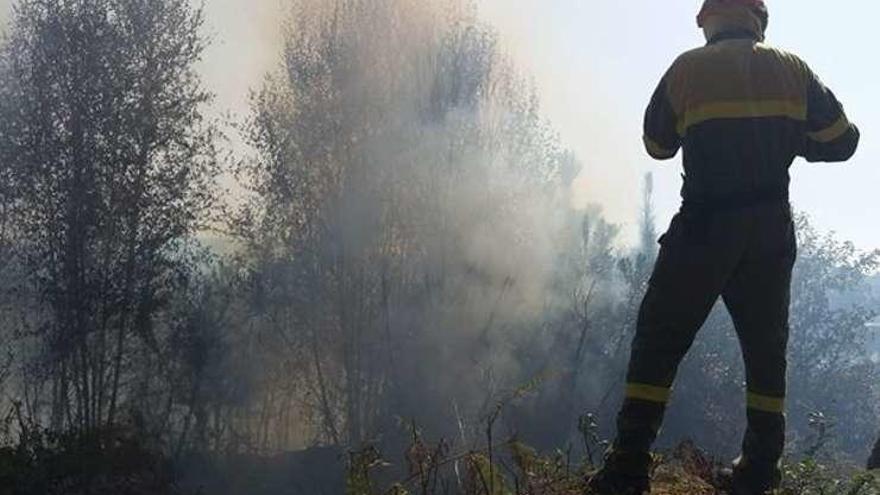 Dos brigadas de incendios forestales extinguen un incendio en Miño