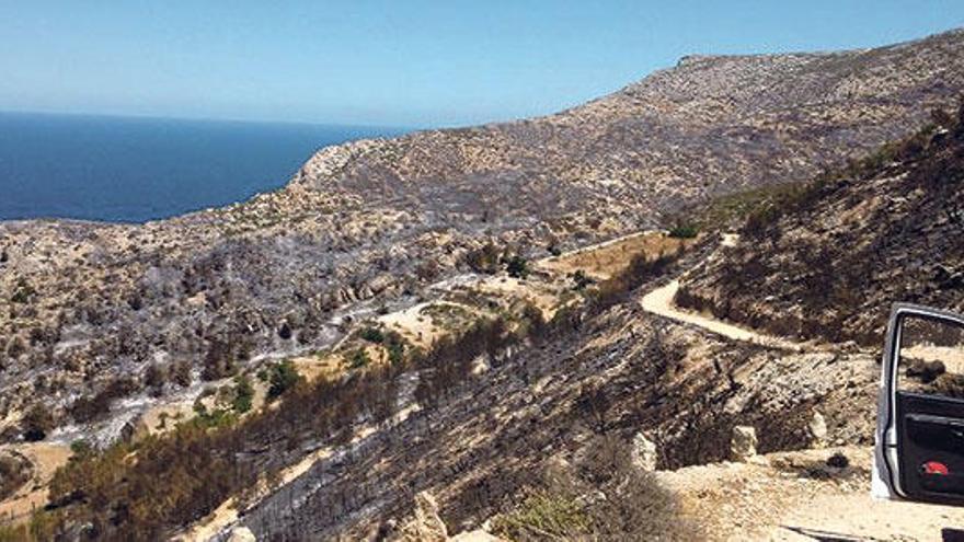 La recuperación de la zona llevará décadas y requerirá luchar contra la desertificación