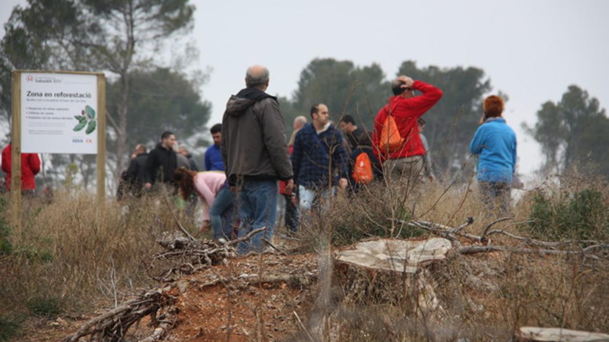 Voluntarios participando en la reforestación del bosque de Can Deu en Sabadell.