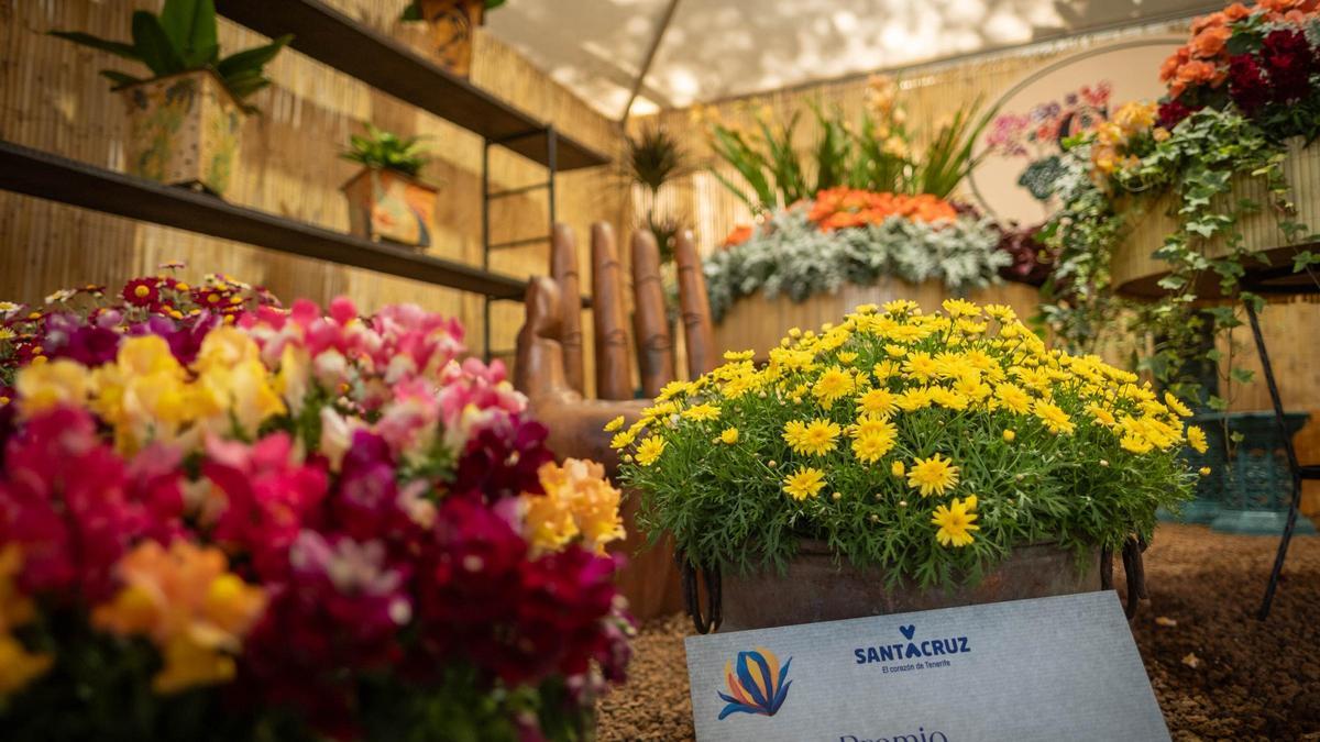 Exposición de plantas del Parque García Sanabria