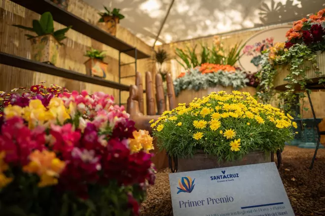 Exposición de plantas del Parque García Sanabria
