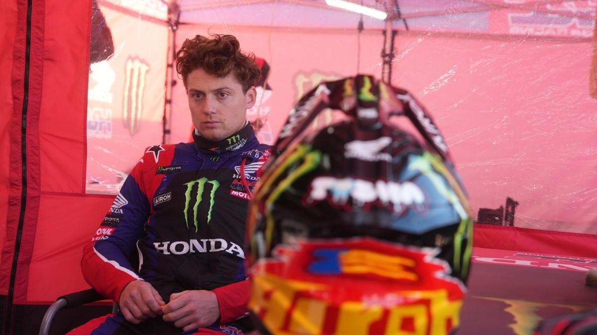 Schareina, concentrado