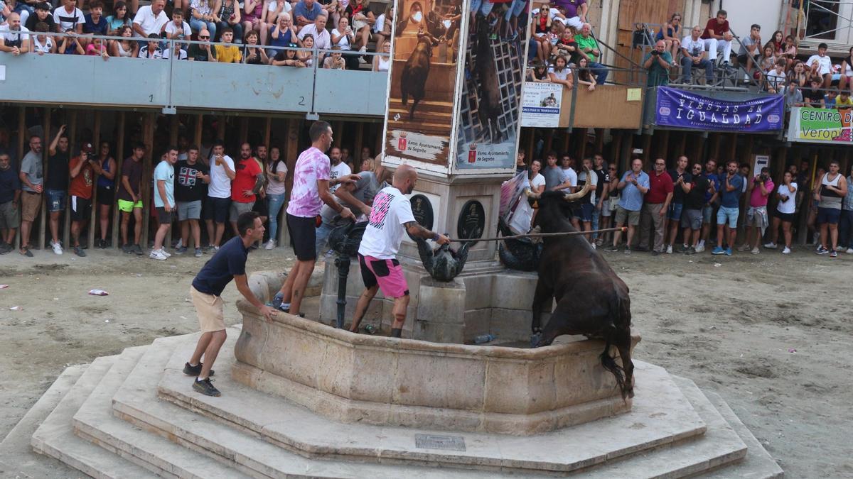 Segorbe ha vuelto a disfrutar con su tradicional Concurso de Ganaderías tras la pandemia.