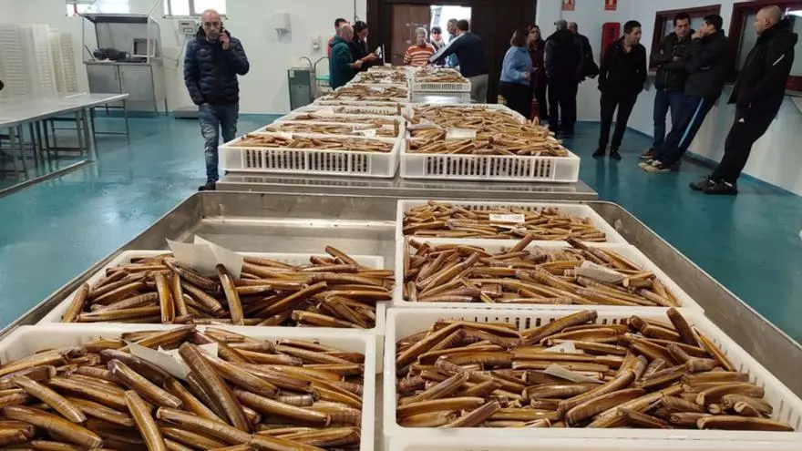 Mar alaba la apuesta de la cofradía canguesa para revalorizar sus productos