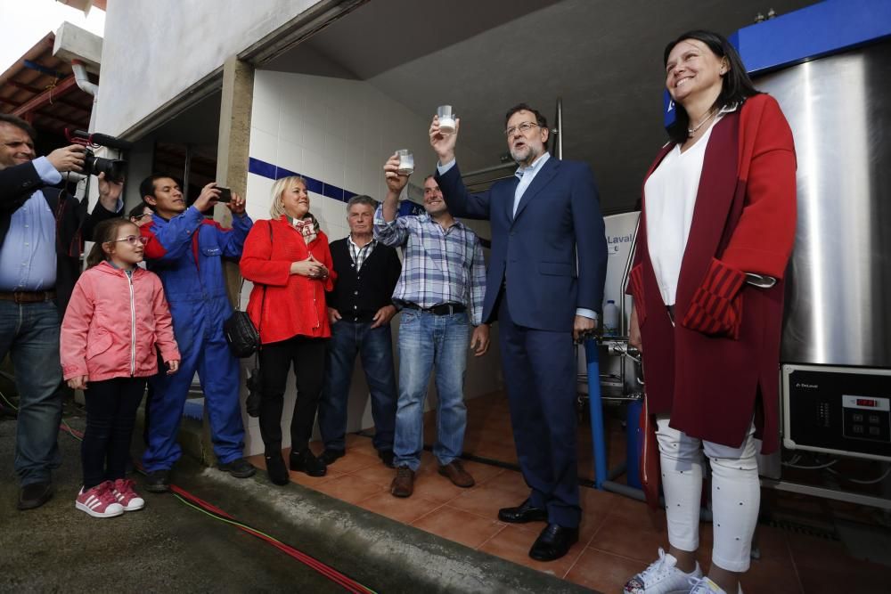 Visita de Mariano Rajoy a una ganadería en Gozón (Asturias)