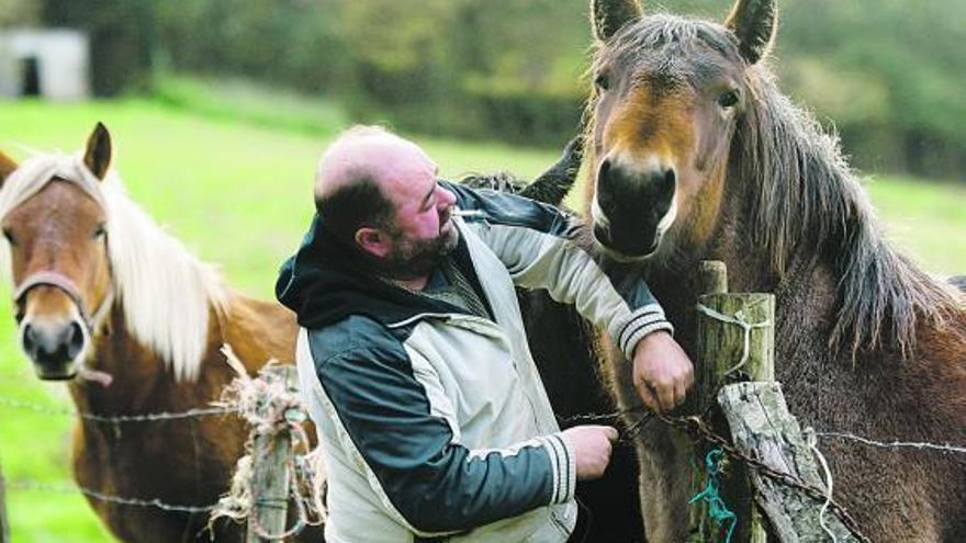 ganadero de vocación. Rafael Juan Ardura, con sus caballos en Sariego.