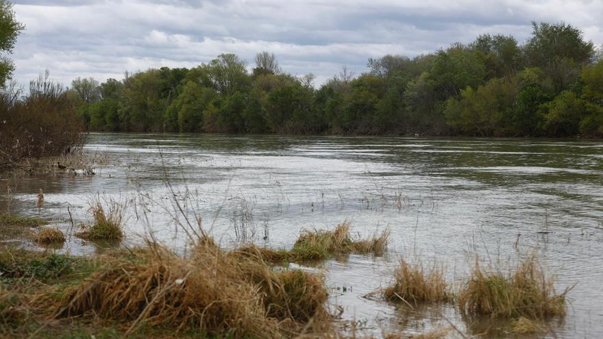 En imágenes | Así está el caudal del río Gállego a la altura de Zaragoza durante la tarde de este sábado