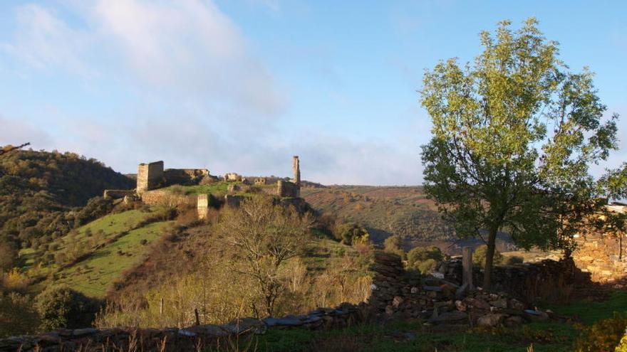 Los mejores lugares de España para recolectar setas