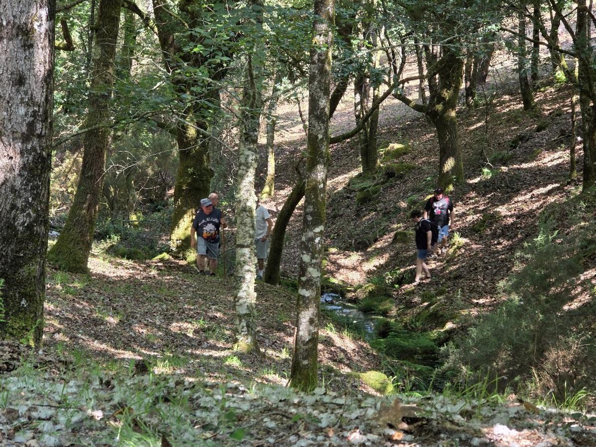 Caminantes en San Cibrán.
