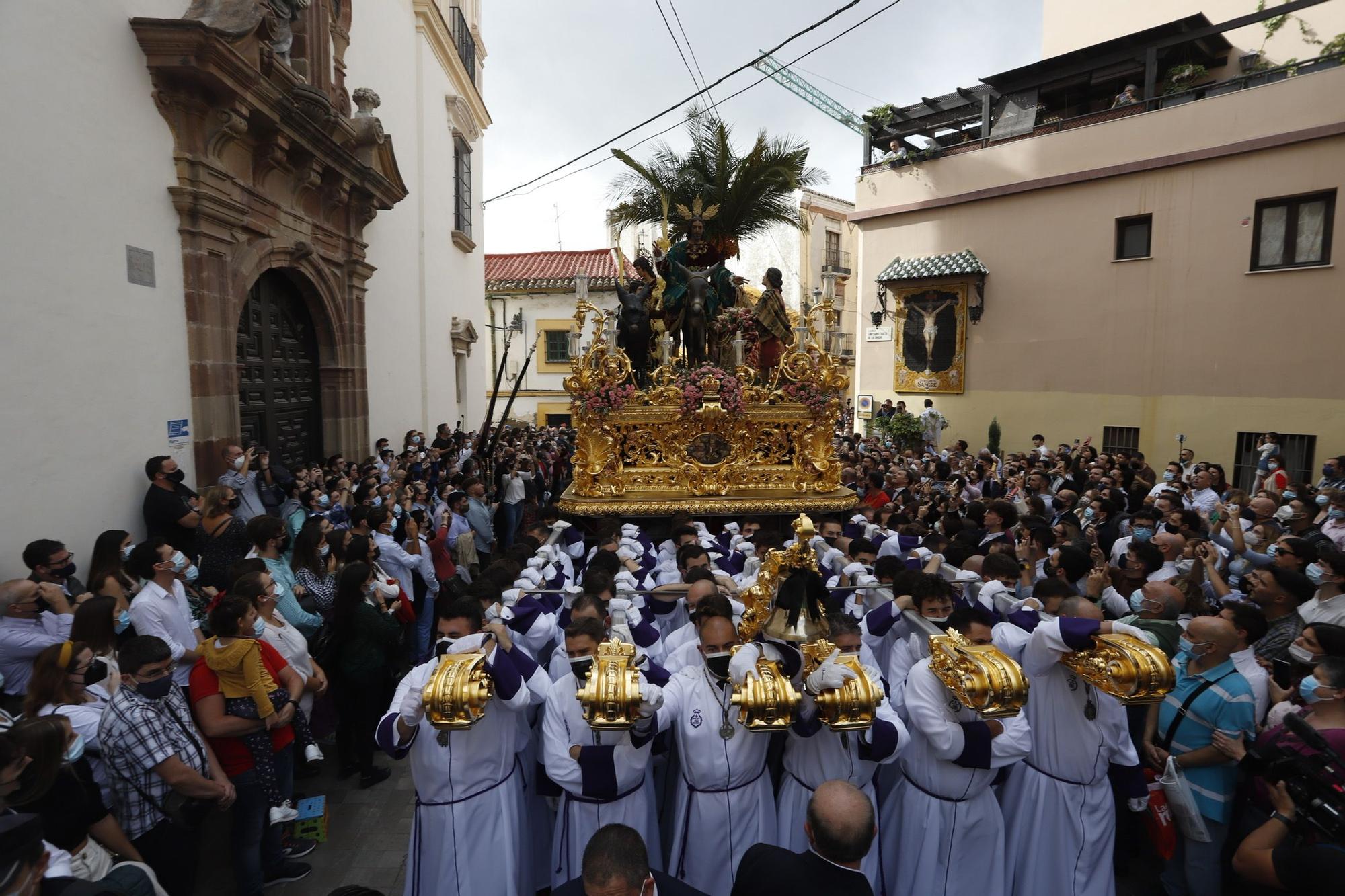 Procesión Magna de Málaga | Pollinica