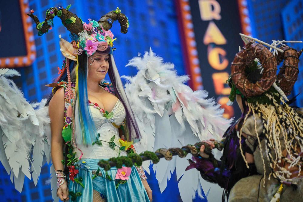 Fotos de los ganadores y de todos los participantes en el Concurso de Disfraces del Carnaval de Santa Cruz de Tenerife.  | 16/02/2020 | Fotógrafo: Andrés Gutiérrez Taberne