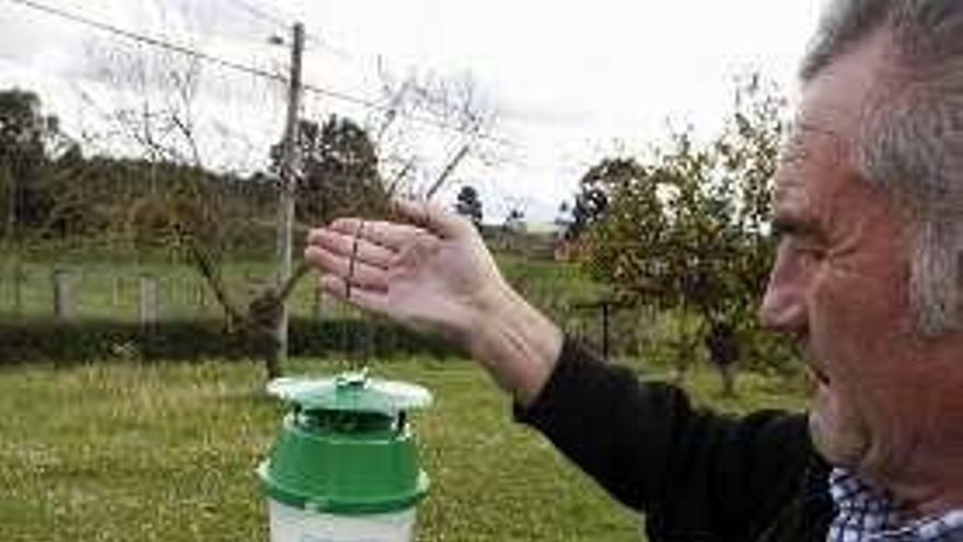 Los agricultores, con ganas de volver a plantar patata tras remitir la plaga