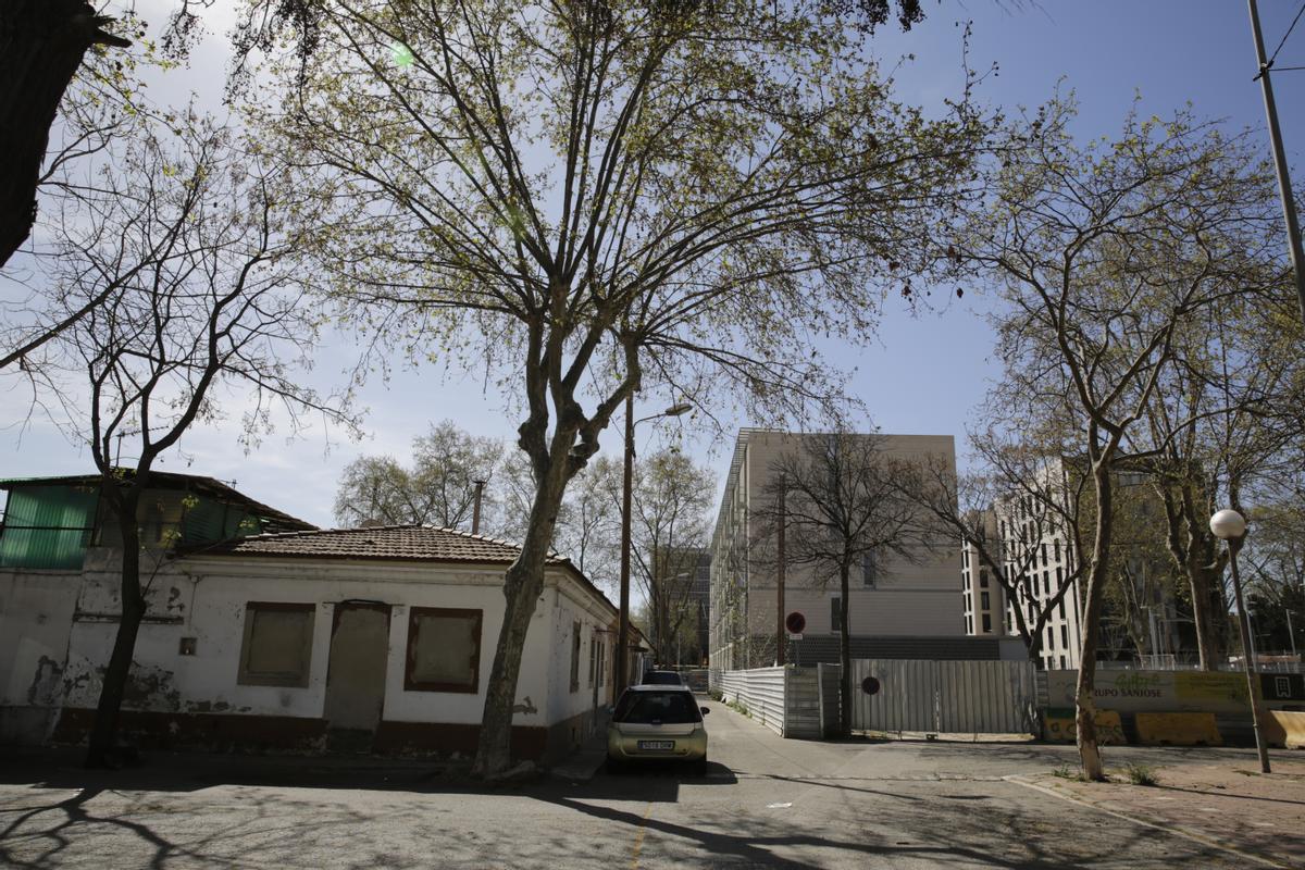 Hogares tapiados en las Casas Baratas, junto a los nuevos bloques del Bon Pastor.