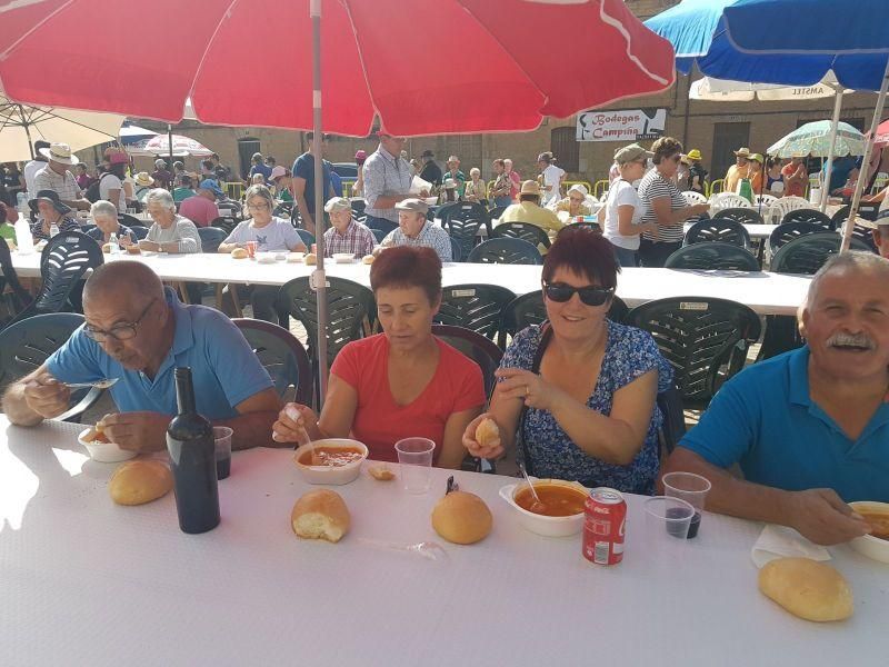 Fiesta de la Vendimia en Venialbo