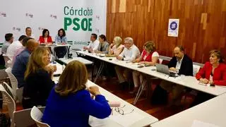 Crespín activa el comité de campaña del PSOE para "seguir construyendo una Europa próspera, verde y con memoria"