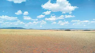 La sequía ahoga a Aragón